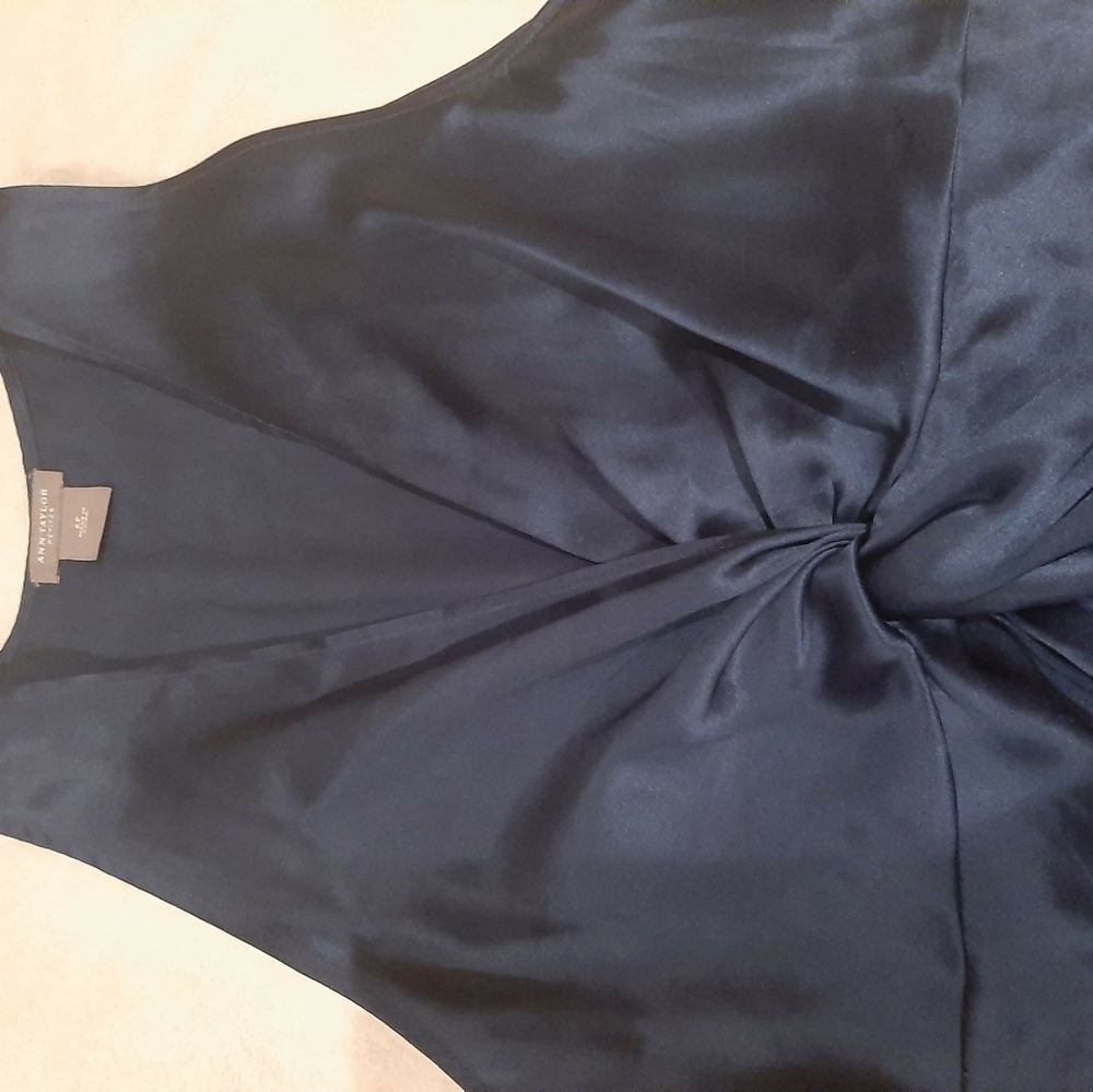 Ann Taylor Silk top Size 6P Petite - Picture 2 of 6